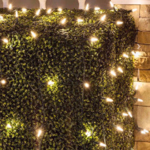 M5 LED Cool White Net Lights, outdoor lights, Christmas lights, commercial-grade, outdoor, Christmas, holiday, LED, bulb, lights, quality, durable, 2021